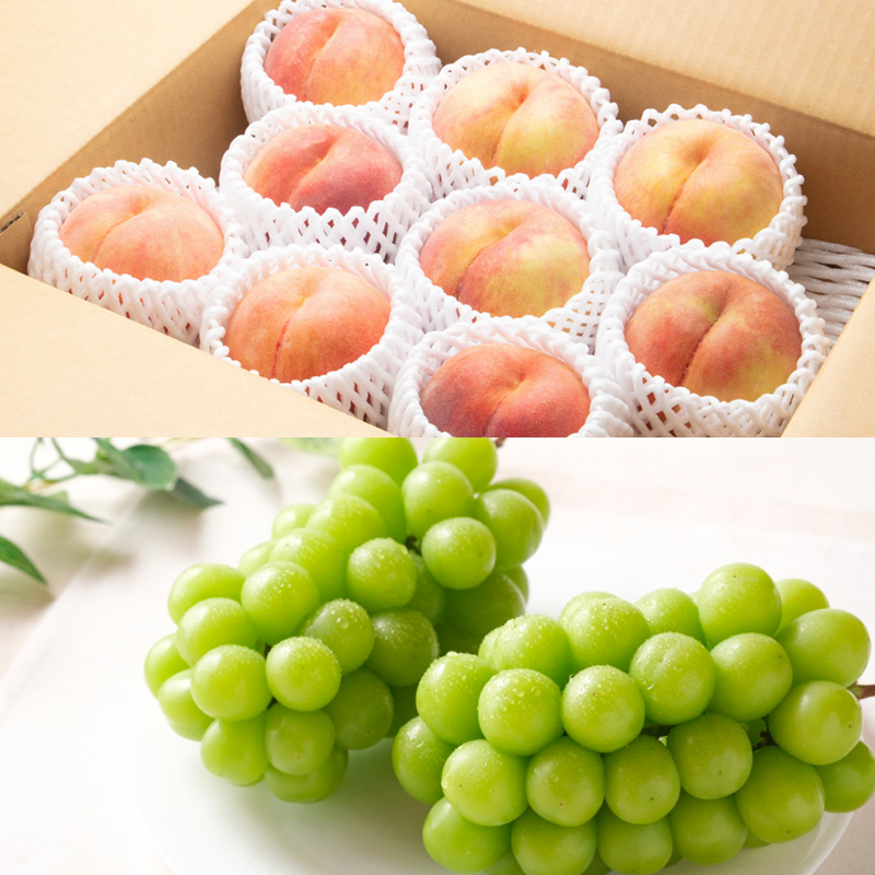 【定期便4回】秋冬味覚！満腹フルーツ便 【令和8年産先行予約】FS25-691