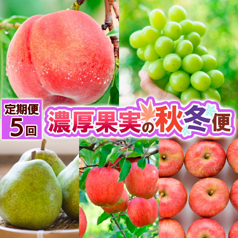 【定期便5回】濃厚果実の秋冬便 【令和8年産先行予約】FS25-692
