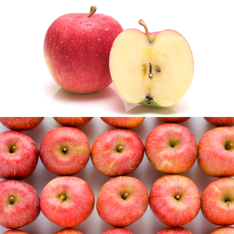 【定期便5回】濃厚果実の秋冬便 【令和8年産先行予約】FS25-692