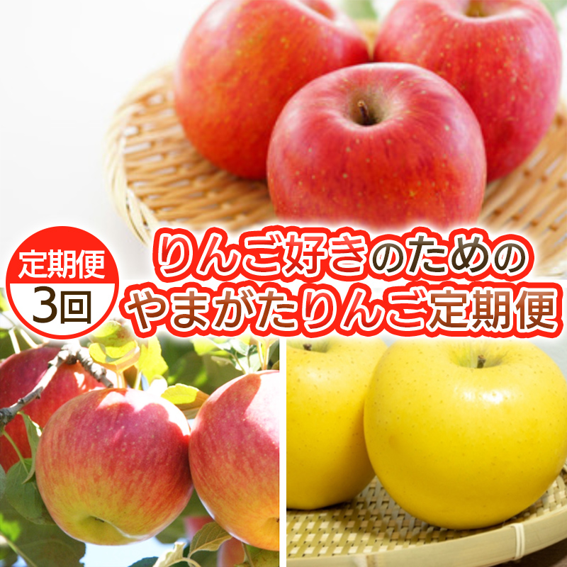 【定期便3回】りんご好きのためのやまがたりんご定期便【令和8年産先行予約】FS25-749