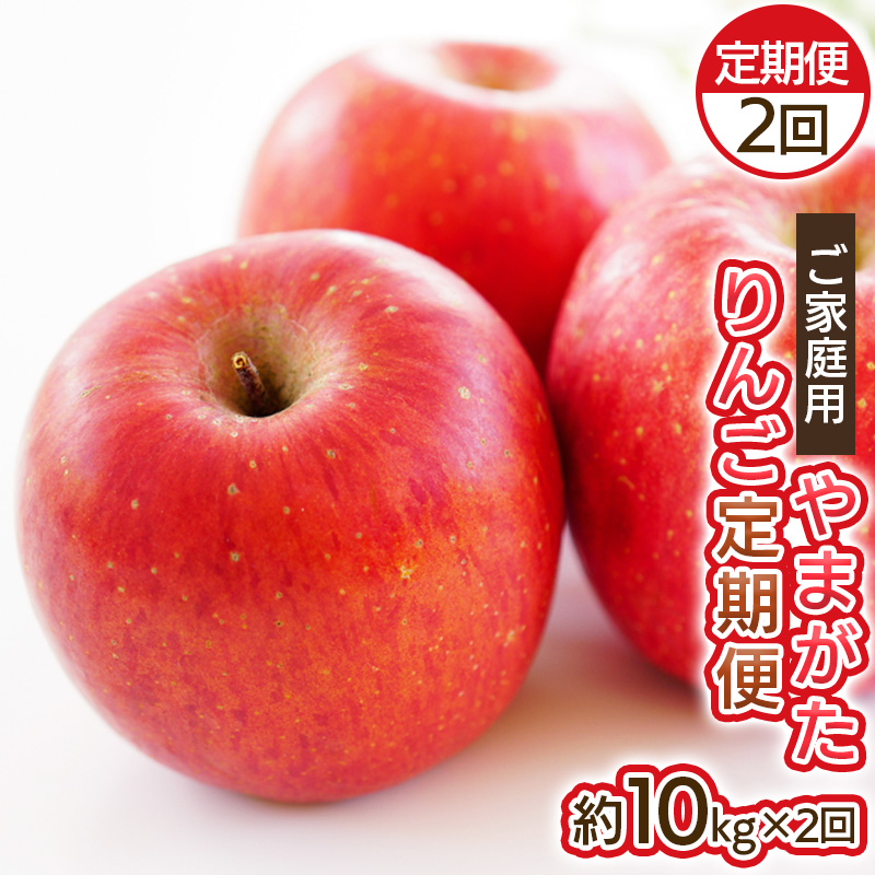 【定期便2回】ご家庭用 やまがたりんご定期便【令和8年産先行予約】FS25-793