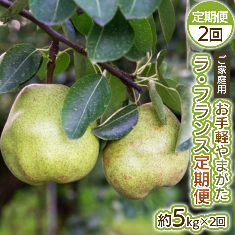 【定期便2回】お手軽 ご家庭用 やまがたラ・フランス 5kg×2回【令和8年産先行予約】FS25-751