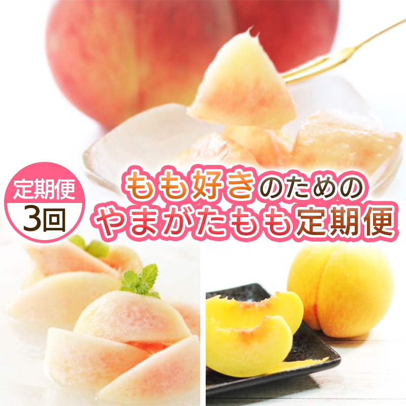 【定期便3回】もも好きのためのやまがたもも定期便 【令和8年産先行予約】FS25-694