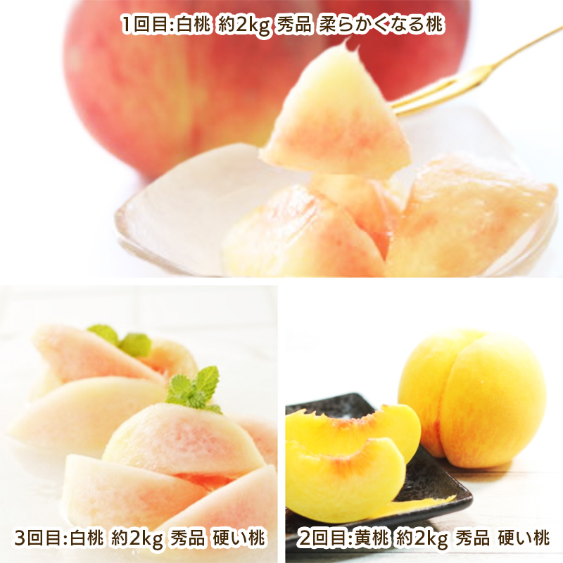 【定期便3回】もも好きのためのやまがたもも定期便 【令和8年産先行予約】FS25-694