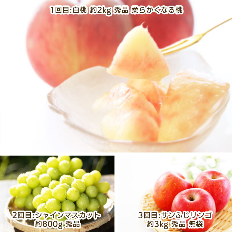 【定期便3回】やまがた こだわりのフルーツ定期便 【令和8年産先行予約】FS25-696