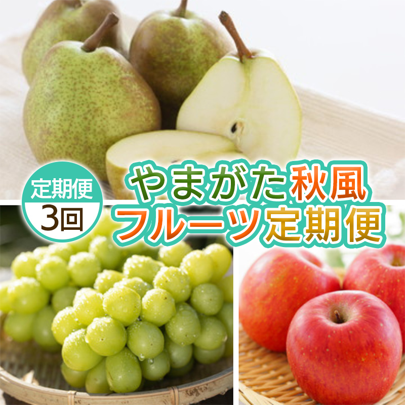 【定期便3回】やまがた 秋風フルーツ定期便 【令和8年産先行予約】FS25-697