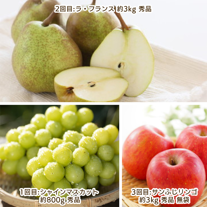 【定期便3回】やまがた 秋風フルーツ定期便 【令和8年産先行予約】FS25-697
