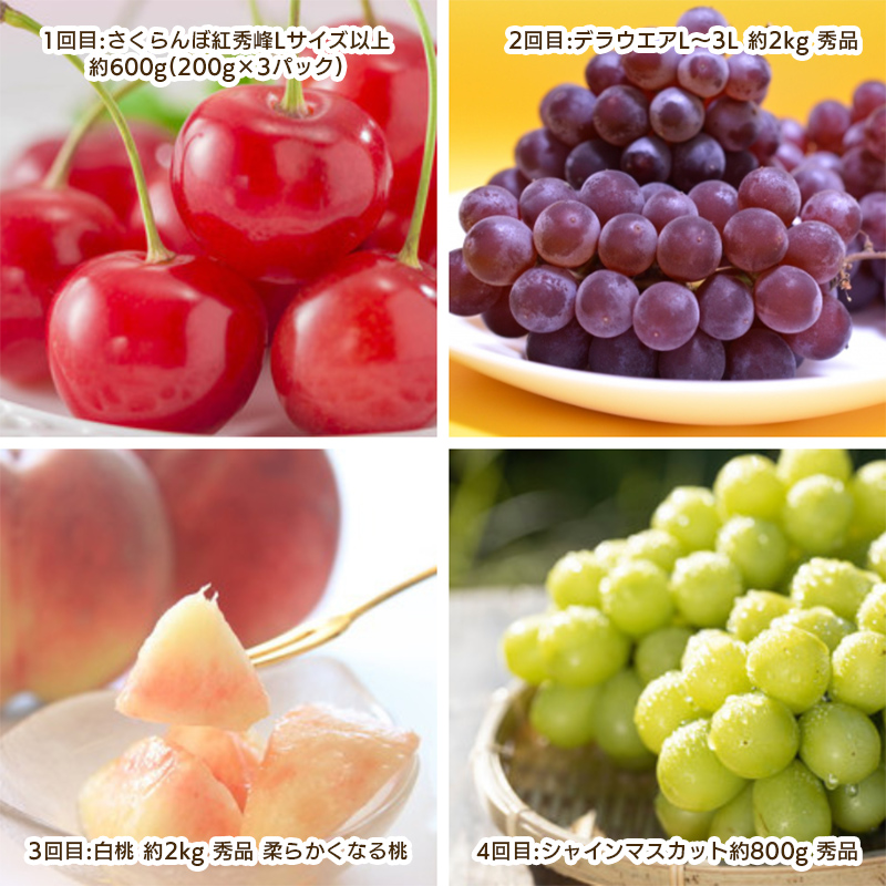 【定期便4回】やまがた 盛夏フルーツ定期便 【令和8年産先行予約】 FS25-660