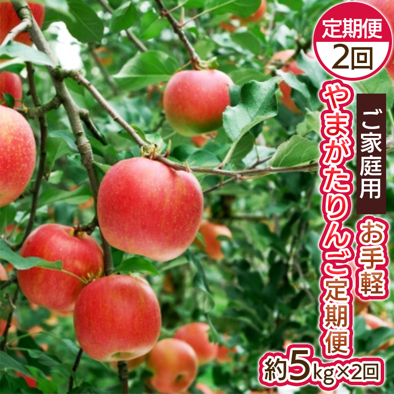【定期便2回】お手軽 ご家庭用 やまがたりんご定期便【令和8年産先行予約】FS25-794