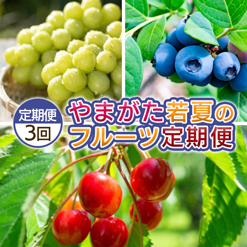 【定期便3回】やまがた 若夏のフルーツ定期便 【令和8年産先行予約】FS25-700