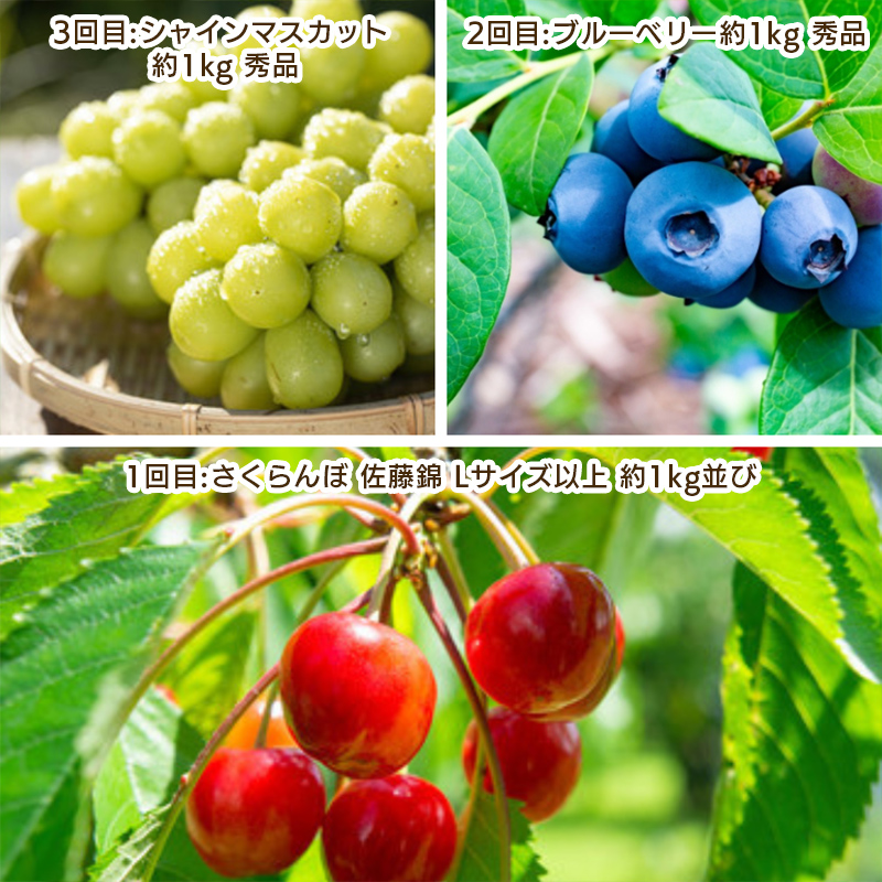 【定期便3回】やまがた 若夏のフルーツ定期便 【令和8年産先行予約】FS25-700