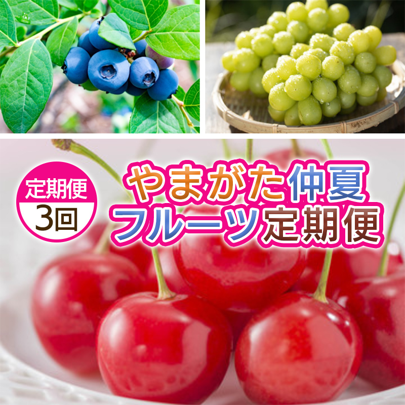 【定期便3回】やまがた　仲夏フルーツ定期便 【令和8年産先行予約】FS25-701