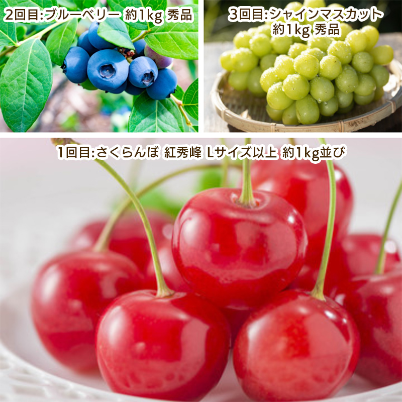 【定期便3回】やまがた　仲夏フルーツ定期便 【令和8年産先行予約】FS25-701