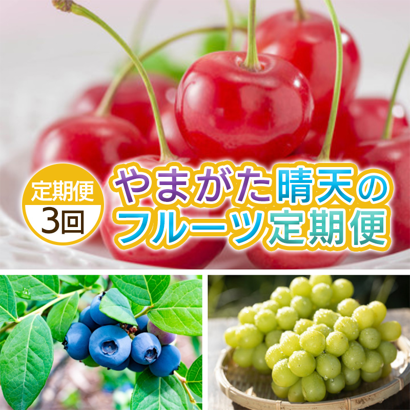 【定期便3回】やまがた 晴天のフルーツ定期便 【令和8年産先行予約】FS25-702