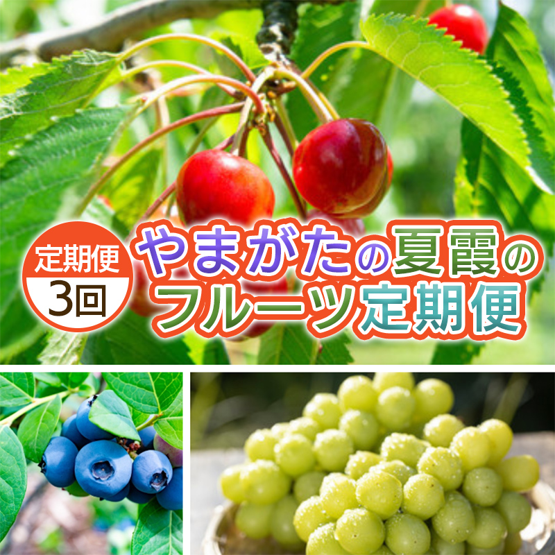 【定期便3回】やまがた　夏霞のフルーツ定期便 【令和8年産先行予約】FS25-703