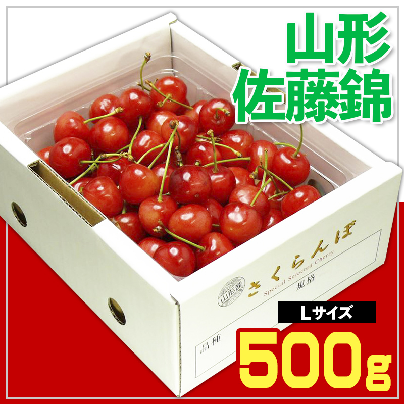 ☆山形さくらんぼ ☆ 佐藤錦 Lサイズ 500g バラ 化粧箱詰【令和8年産先行予約】FS25-540