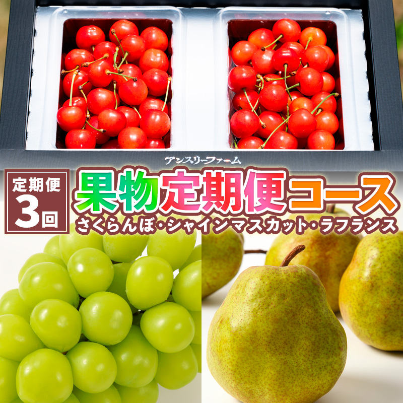 ãå®æäŸ¿3åãæç©å®æäŸ¿ã³ãŒã¹(ãããããŒãã·ã£ã€ã³ãã¹ã«ãããã©ãã©ã³ã¹) FY25-025