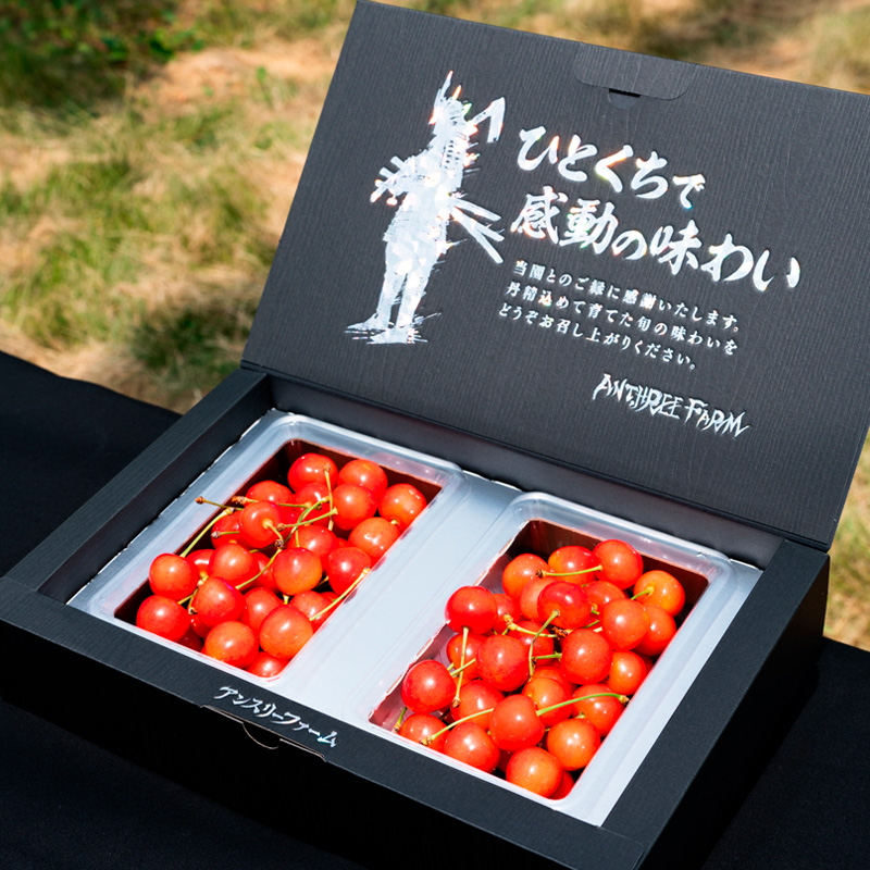 ãå®æäŸ¿3åãæç©å®æäŸ¿ã³ãŒã¹(ãããããŒãã·ã£ã€ã³ãã¹ã«ãããã©ãã©ã³ã¹) FY25-025