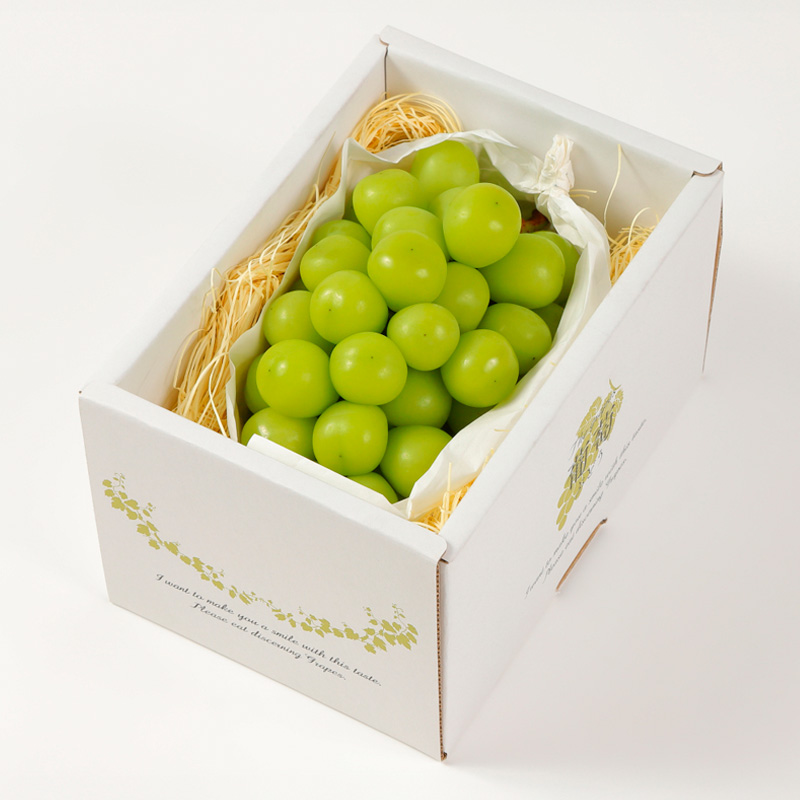 ãå®æäŸ¿3åãæç©å®æäŸ¿ã³ãŒã¹(ãããããŒãã·ã£ã€ã³ãã¹ã«ãããã©ãã©ã³ã¹) FY25-025