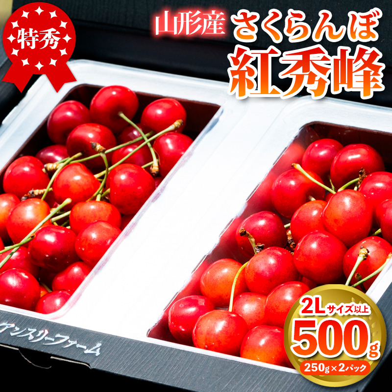 さくらんぼ 「紅秀峰」500g 特秀品 2Lサイズ以上 山形産【令和8年産先行予約】 FS25-926