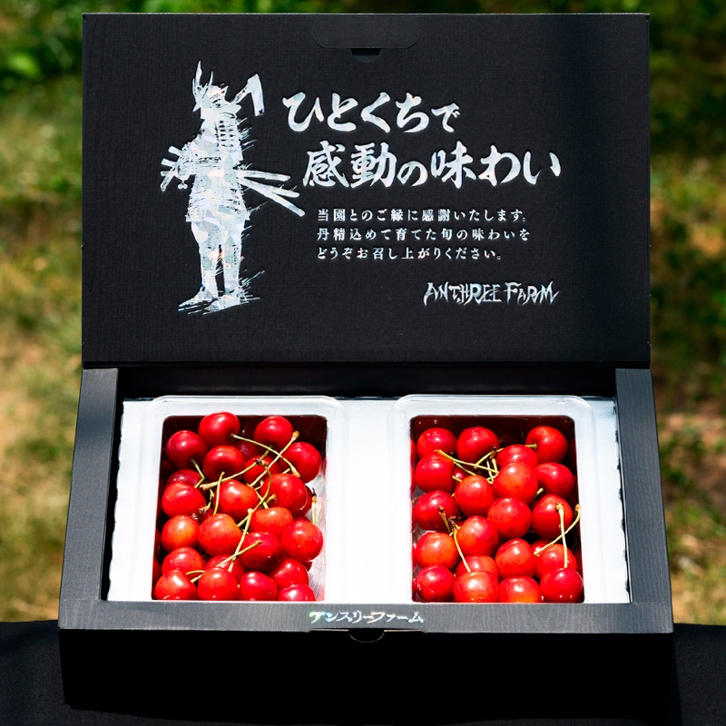 さくらんぼ 「紅秀峰」500g 特秀品 2Lサイズ以上 山形産【令和8年産先行予約】 FS25-926