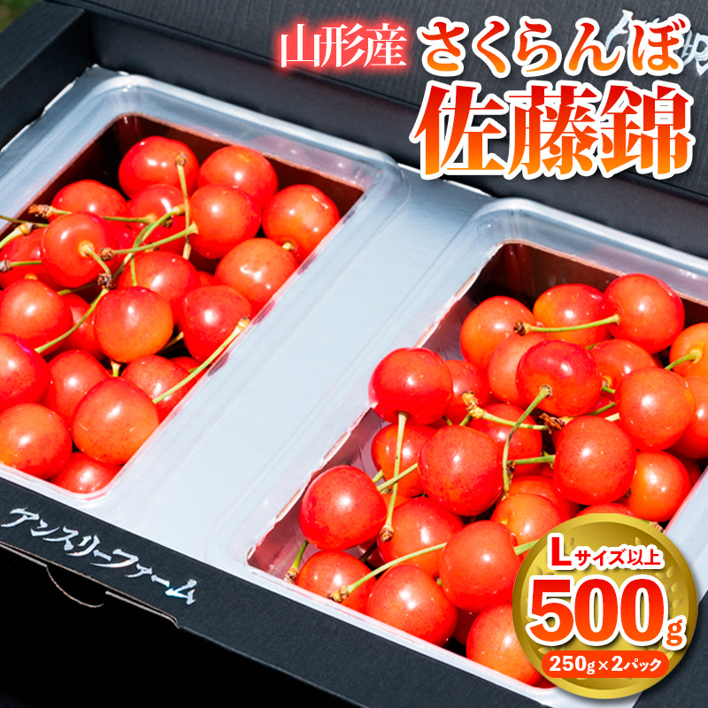 さくらんぼ 「佐藤錦」500g Lサイズ以上 山形産【令和8年産先行予約】 FS25-927