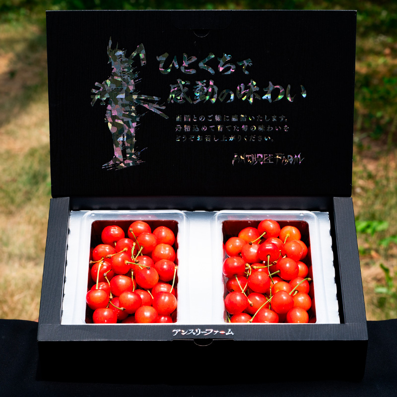 さくらんぼ 「佐藤錦」500g Lサイズ以上 山形産【令和8年産先行予約】 FS25-927