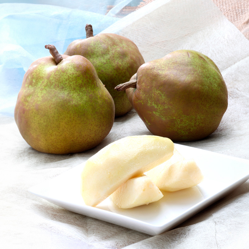 山形のラ・フランス約5kg（10～16玉 3L～6L)[12月発送]【令和8年産先行予約】FS25-743