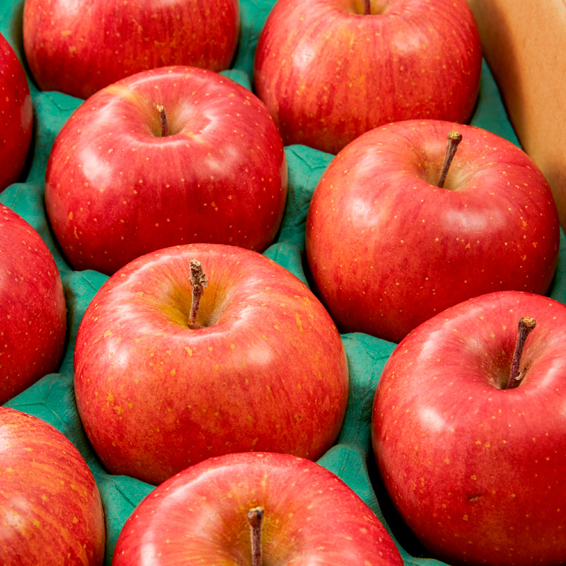 山形産 サンふじりんご秀10kg【令和8年産先行予約】FS25-773