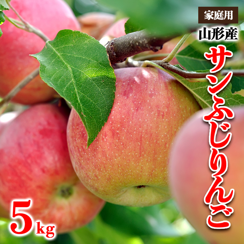 [家庭用]山形産 サンふじりんご 優品以上 5kg FY25-817