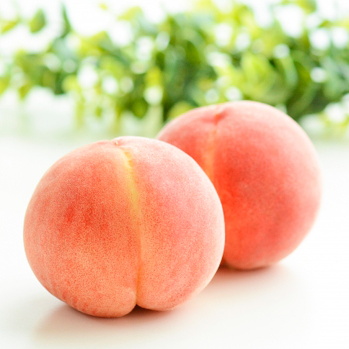 【定期便5回】おいしい！ジューシー！山形フルーツ　バラエティ定期便  FZ25-821