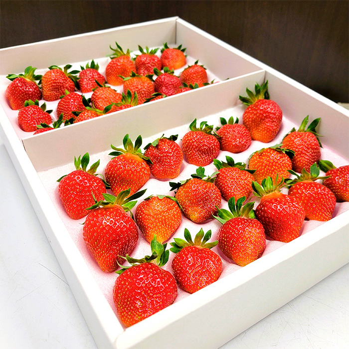 【定期便4回】イチオシフルーツ！やまがた宝箱B  FY25-822