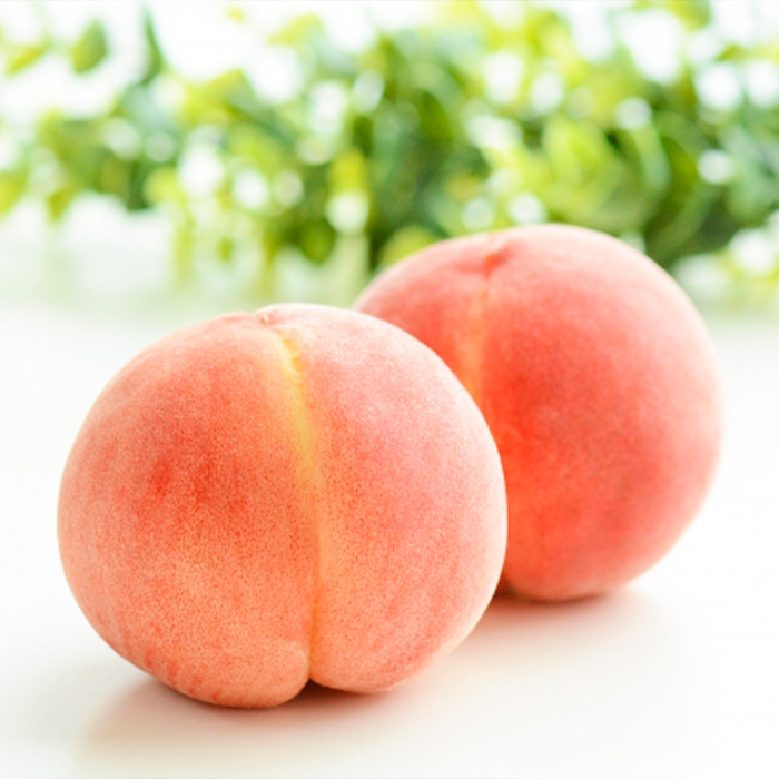 【定期便4回】イチオシフルーツ！やまがた宝箱B  FY25-822