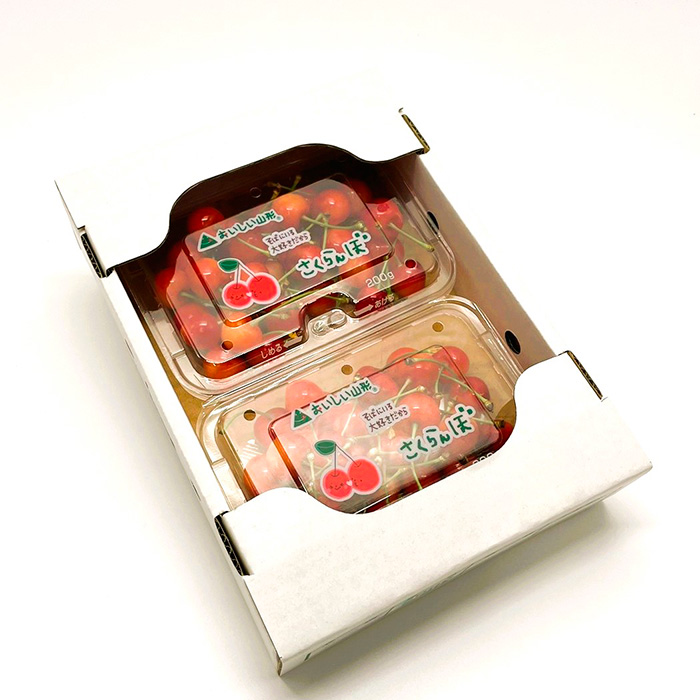 【定期便4回】イチオシフルーツ！やまがた宝箱A FY25-823