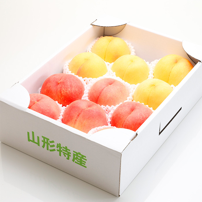 【定期便3回】旬のフルーツ　よくばり定期便 FZ25-824