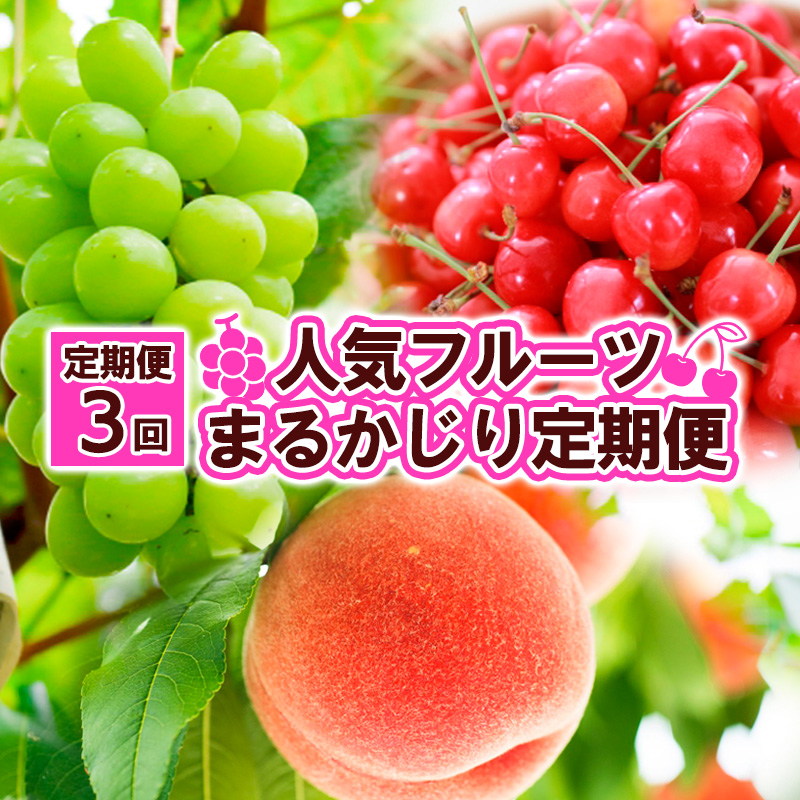 【定期便3回】人気フルーツ まるかじり定期便 FY25-826