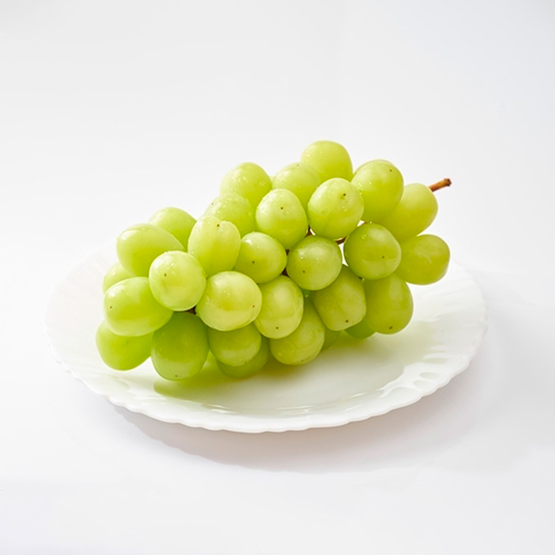 【定期便3回】人気フルーツ まるかじり定期便 FZ25-726