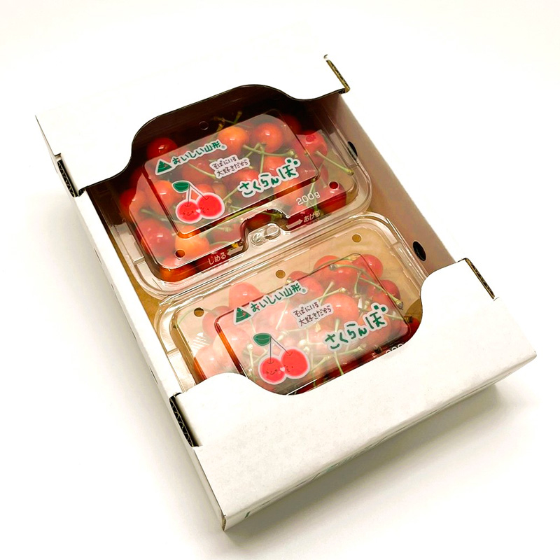 【定期便3回】人気フルーツ まるかじり定期便 FZ25-726