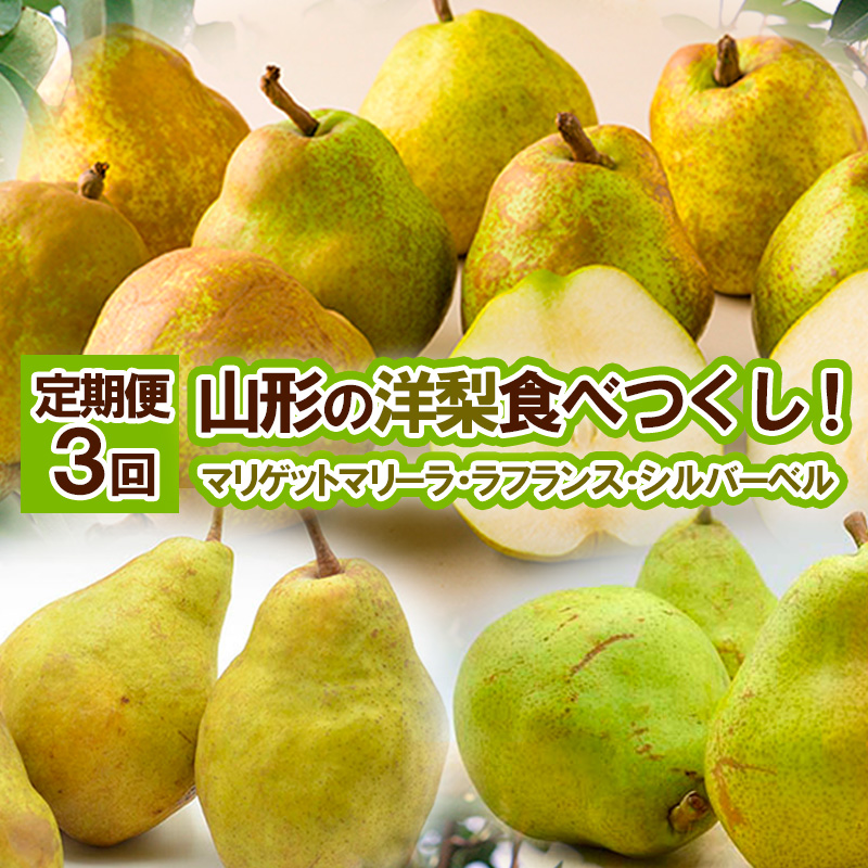 ★定期便3回★山形の洋梨食べつくし！(マリゲットマリーラ・ラフランス・シルバーベル) 【令和8年産先行予約】FS25-688