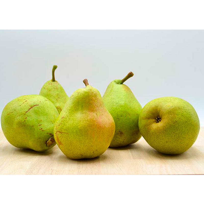 ★定期便3回★山形の洋梨食べつくし！(マリゲットマリーラ・ラフランス・シルバーベル) 【令和8年産先行予約】FS25-688