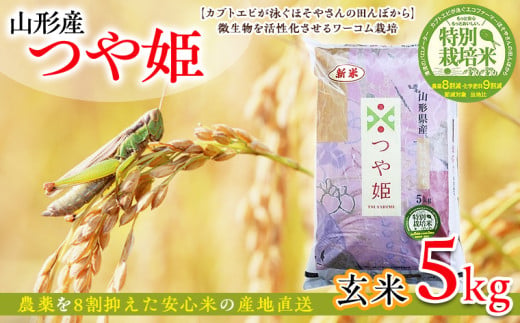 令和7年度産 山形産 「つや姫」5kg (玄米) 特別栽培米 8割減農薬・9割減化学肥料（当地比）【カブトエビが泳ぐほそやさんの田んぼから】微生物を活性化させるワーコム栽培 FY25-126