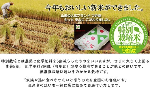 令和7年度産 山形産 「つや姫」5kg (玄米) 特別栽培米 8割減農薬・9割減化学肥料（当地比）【カブトエビが泳ぐほそやさんの田んぼから】微生物を活性化させるワーコム栽培 FY25-126