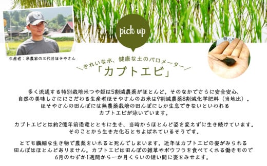 令和7年度産 山形産 「つや姫」5kg (玄米) 特別栽培米 8割減農薬・9割減化学肥料（当地比）【カブトエビが泳ぐほそやさんの田んぼから】微生物を活性化させるワーコム栽培 FY25-126