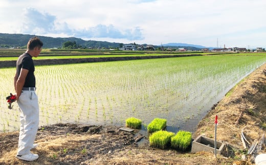 令和7年度産 山形産 「つや姫」5kg (玄米) 特別栽培米 8割減農薬・9割減化学肥料（当地比）【カブトエビが泳ぐほそやさんの田んぼから】微生物を活性化させるワーコム栽培 FY25-126