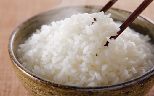 令和7年度産 山形産 「つや姫」5kg (玄米) 特別栽培米 8割減農薬・9割減化学肥料（当地比）【カブトエビが泳ぐほそやさんの田んぼから】微生物を活性化させるワーコム栽培 FY25-126