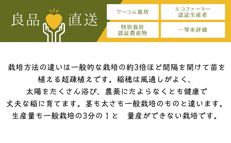 令和7年度産 山形産 「つや姫」5kg (精米) 特別栽培米 8割減農薬・9割減化学肥料（当地比）【カブトエビが泳ぐほそやさんの田んぼから】微生物を活性化させるワーコム栽培 FY25-125