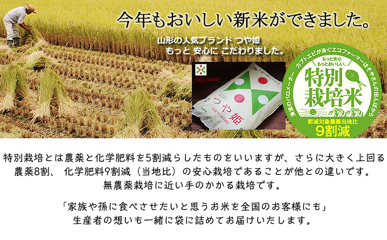 令和7年度産 山形産 「つや姫」5kg (精米) 特別栽培米 8割減農薬・9割減化学肥料（当地比）【カブトエビが泳ぐほそやさんの田んぼから】微生物を活性化させるワーコム栽培 FY25-125