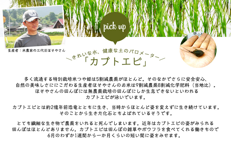 令和7年度産 山形産 「つや姫」5kg (精米) 特別栽培米 8割減農薬・9割減化学肥料（当地比）【カブトエビが泳ぐほそやさんの田んぼから】微生物を活性化させるワーコム栽培 FY25-125