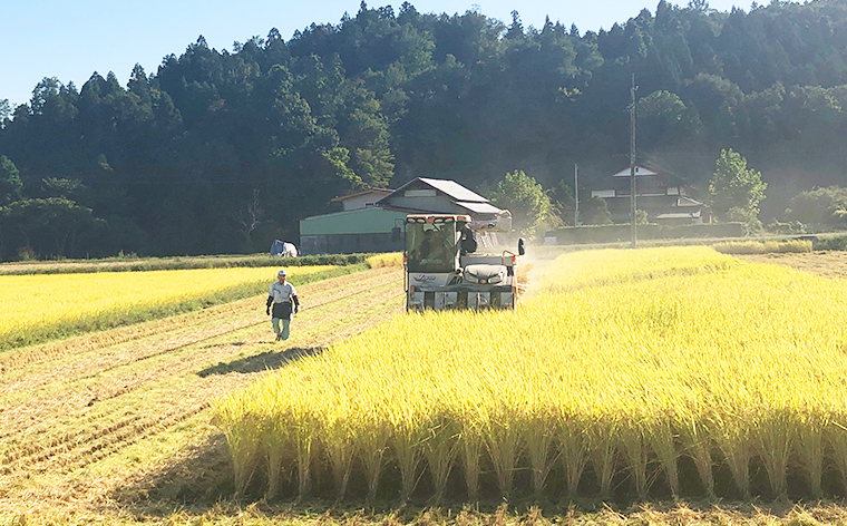 令和7年度産 山形産 「つや姫」5kg (精米) 特別栽培米 8割減農薬・9割減化学肥料（当地比）【カブトエビが泳ぐほそやさんの田んぼから】微生物を活性化させるワーコム栽培 FY25-125