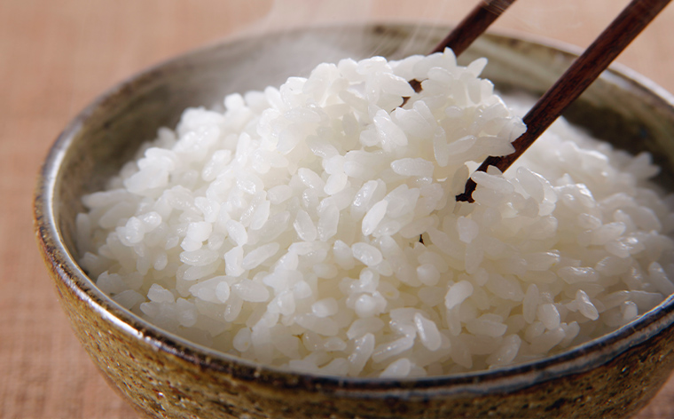 令和7年度産 山形産 「つや姫」5kg (精米) 特別栽培米 8割減農薬・9割減化学肥料（当地比）【カブトエビが泳ぐほそやさんの田んぼから】微生物を活性化させるワーコム栽培 FY25-125